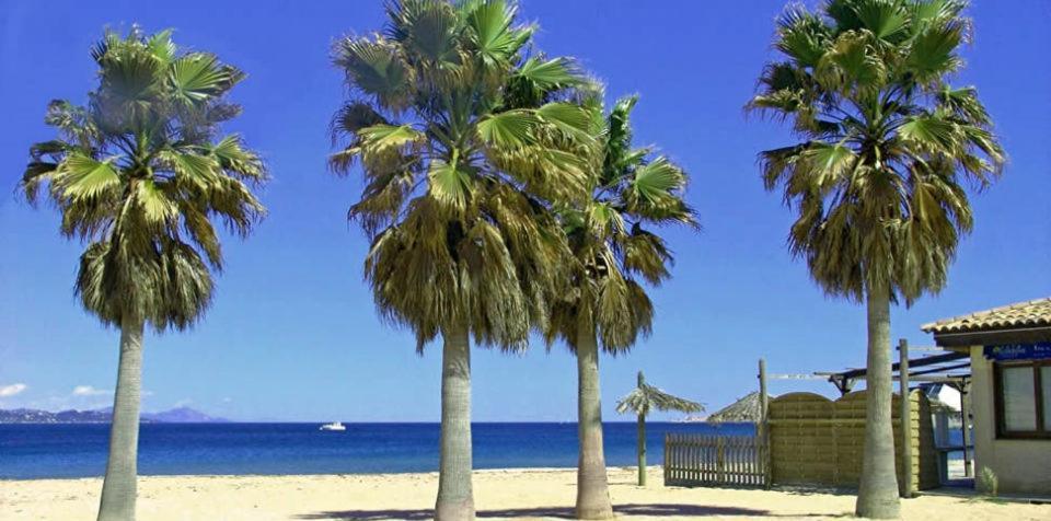 L'Azure, Marines De Gassin Apartment Bagian luar foto